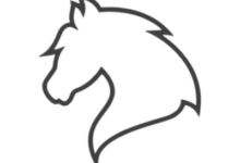 Mejiro 香港独服和VPS限时8折优惠，1核1G/15G硬盘/1G带宽/4T流量/月付$2.4-ISP主机